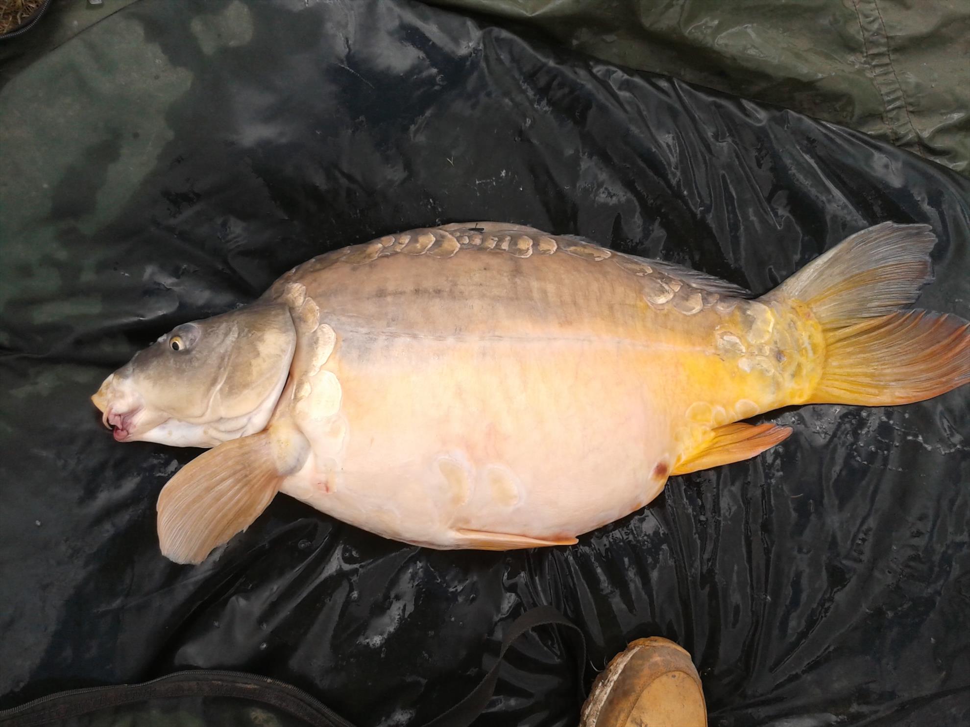 1 - 2014-04-19-140737.jpg